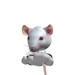 @ehh12345qwq