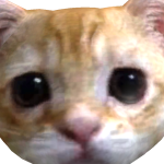 @M1SKK