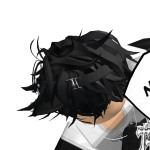 @flashhamsu1