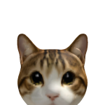 @coolkittyboy965
