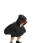 @drndestructo