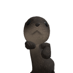 @yShumTzz