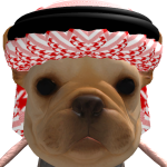 @5osaWinnz