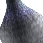 Kaastosti