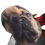 @leapordtank