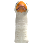 @kingfaisal6467