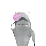 @leaAsheFanDream