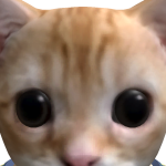 Ajaxappelflap033