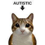 @WillyTheCat2