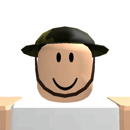 Roblox profile picture for @Flies