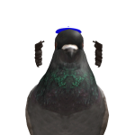 @Nqrekk