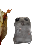 @Evelyn89841