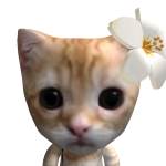 @Mxra_Potat0o