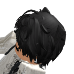 @silxnt_dxvisscry