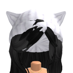 @wocktour