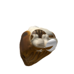 Profile Banner of Chicken_calamari