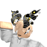 @ProR500