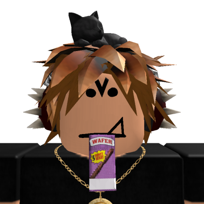 1swipingfraud avatar