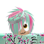 @bassiethebasket1fan