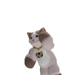 @DareyGeraldo9