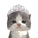@coolgirl2008jj