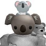 @Koala7541