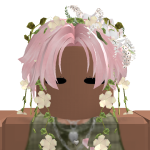 @Orcinus_orca2