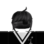 @zestnn