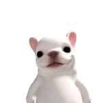 @montetij