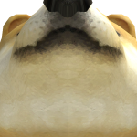 @Fluffypuppy9xx