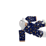 @mrwissard