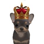 @TWW_DalDeun