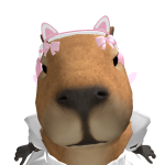 @ashley37364