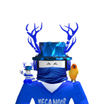 @MegaNoob_RBX
