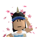 @sofiaplaysrobloxlols
