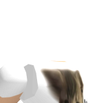 @TheFartingDonut827
