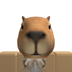 @wjddbsgml486