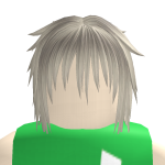 @Roblox12360579