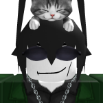 @mrroblox1082