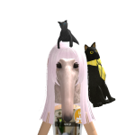 @dolastic1231
