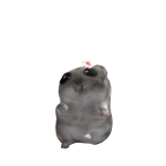 @adxynd