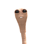 @Milka_ray11