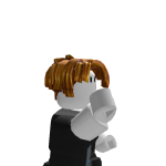 @thefogogamer