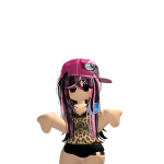 @sonic12345ham1