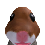 royroygamingboy