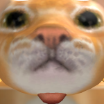 @bin000820