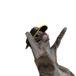 @RokaFarkas_Mangle
