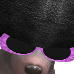 @Erikthegr8est