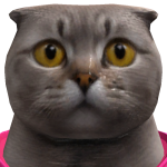 @x_Plargus
