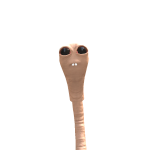 @r3xnX